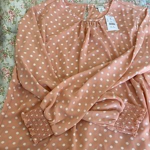 Brand new J Crew silk top